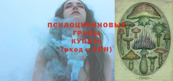 сатива Алексин